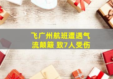 飞广州航班遭遇气流颠簸 致7人受伤